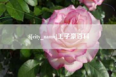 葫芦岛王子豪百科