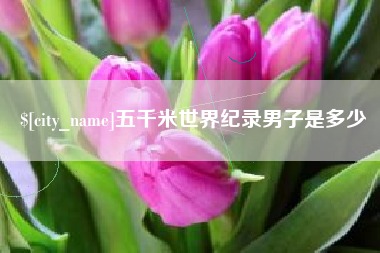 葫芦岛五千米世界纪录男子是多少