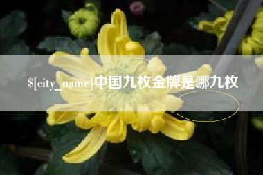 葫芦岛中国九枚金牌是哪九枚