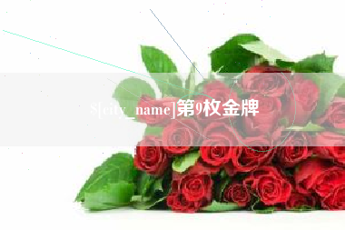 葫芦岛第9枚金牌