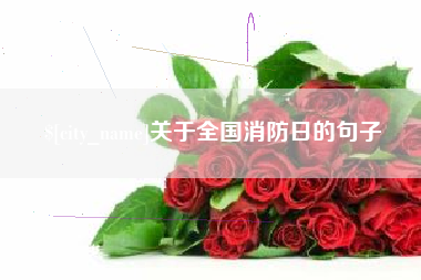 葫芦岛关于全国消防日的句子