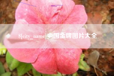 葫芦岛中国金牌图片大全