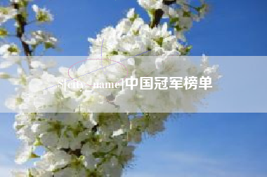葫芦岛中国冠军榜单
