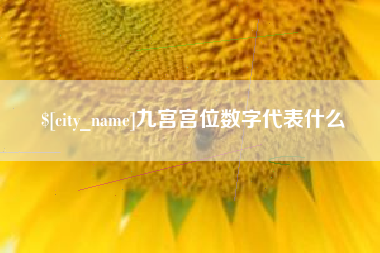 葫芦岛九宫宫位数字代表什么