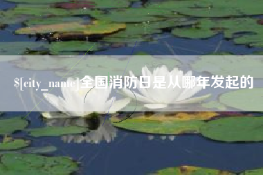 葫芦岛全国消防日是从哪年发起的
