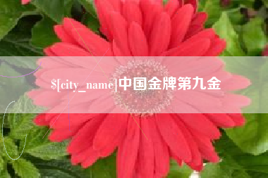 葫芦岛中国金牌第九金