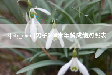 葫芦岛男子5000米年龄成绩对照表