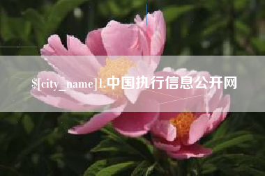 葫芦岛1.中国执行信息公开网