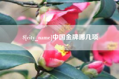 葫芦岛中国金牌哪几项