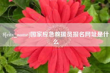 葫芦岛国家应急救援员报名网址是什么