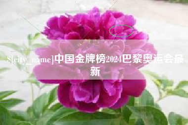 葫芦岛中国金牌榜2024巴黎奥运会最新
