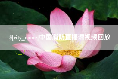 葫芦岛中国消防直播课视频回放