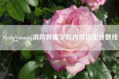 葫芦岛消防救援学院内部招生分数线