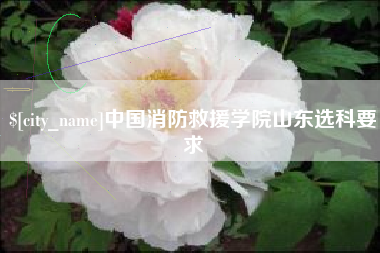 葫芦岛中国消防救援学院山东选科要求