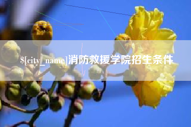 葫芦岛消防救援学院招生条件