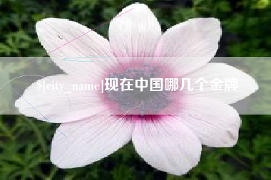 葫芦岛现在中国哪几个金牌