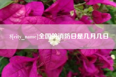 葫芦岛全国的消防日是几月几日