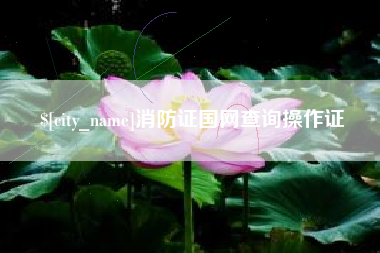 葫芦岛消防证国网查询操作证