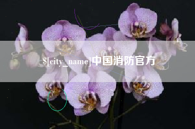 葫芦岛中国消防官方