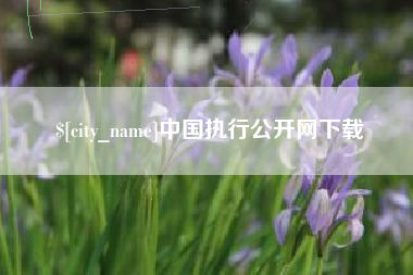 葫芦岛中国执行公开网下载