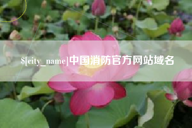 葫芦岛中国消防官方网站域名