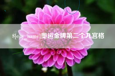 葫芦岛奥运金牌第二个九宫格