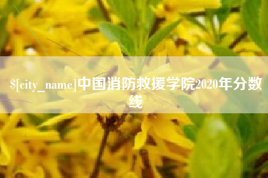 葫芦岛中国消防救援学院2020年分数线