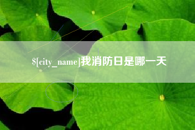 葫芦岛我消防日是哪一天