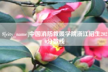 葫芦岛中国消防救援学院浙江招生2020分数线