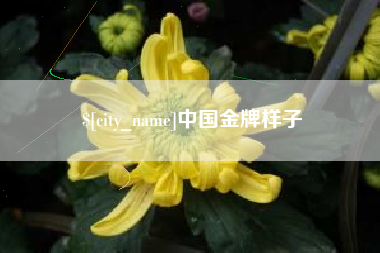 葫芦岛中国金牌样子