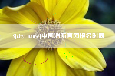 葫芦岛中国消防官网报名时间