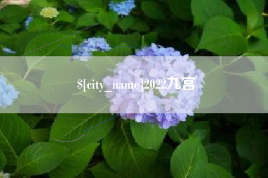 葫芦岛2022九宫