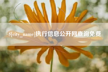 葫芦岛执行信息公开网查询免费