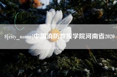 葫芦岛中国消防救援学院河南省2020